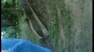 سكس منقبة هائجة